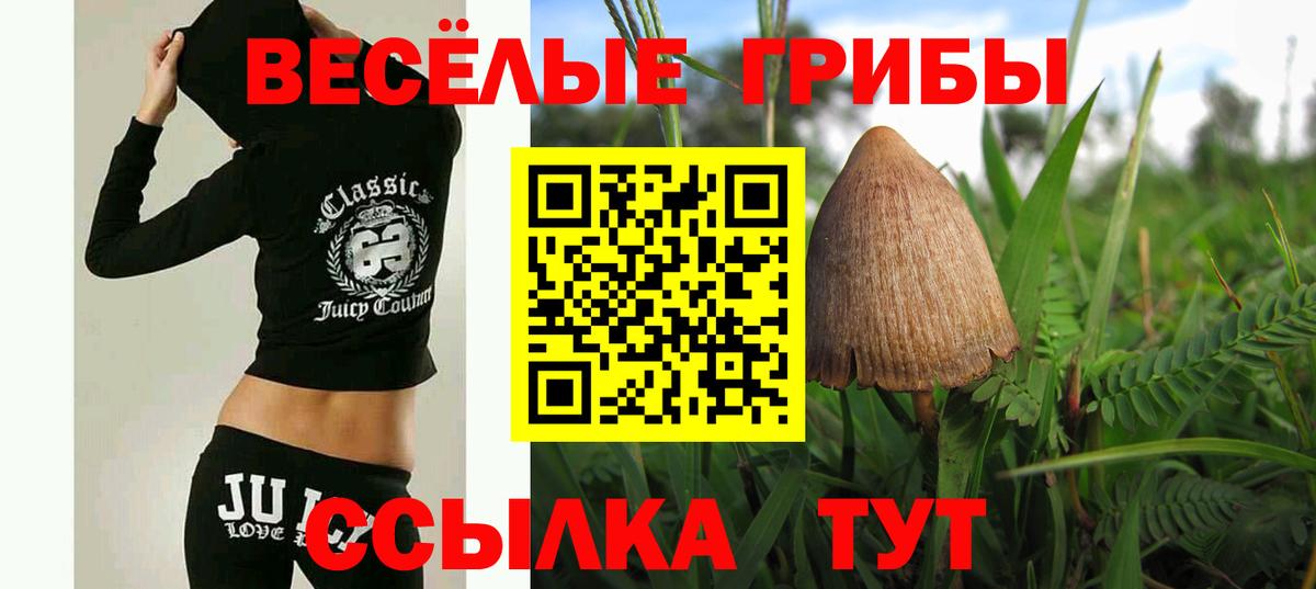 Галлюциногенные грибы мицелий Саянск